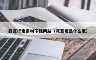 兴化寂寞行走素材下载网站（寂寞走是什么歌）